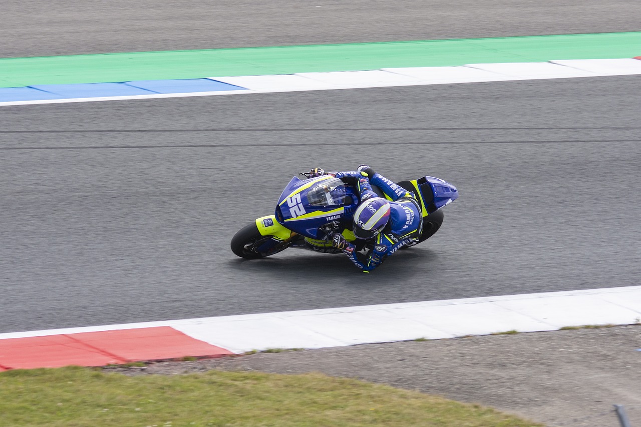 市场反响激 市场反响激