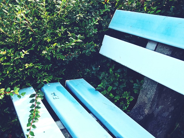 停留在商业 停留在商业