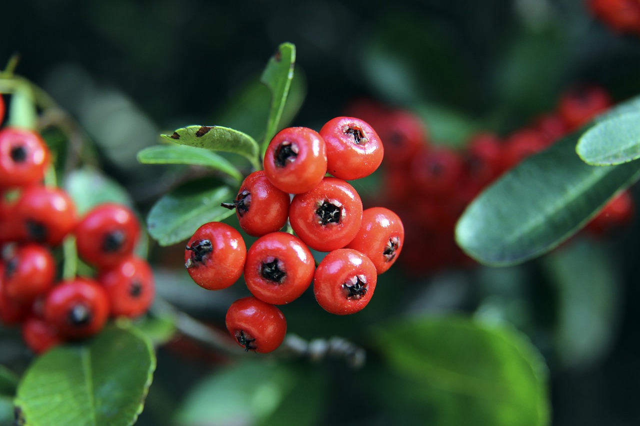 这两位球员 这两位球员