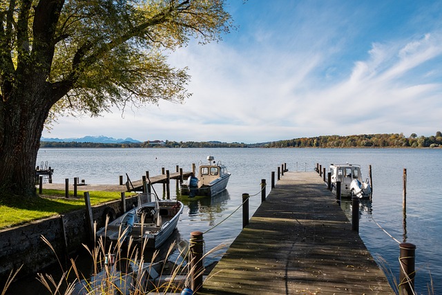 中华队有望 中华队有望