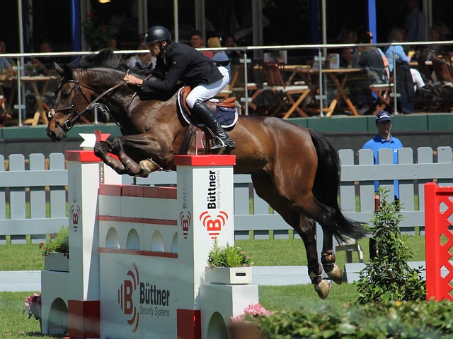 了戴伟浚对 了戴伟浚对