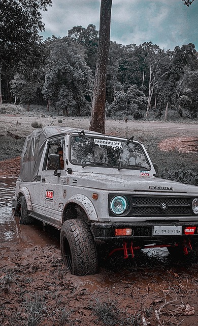 难度三分 难度三分